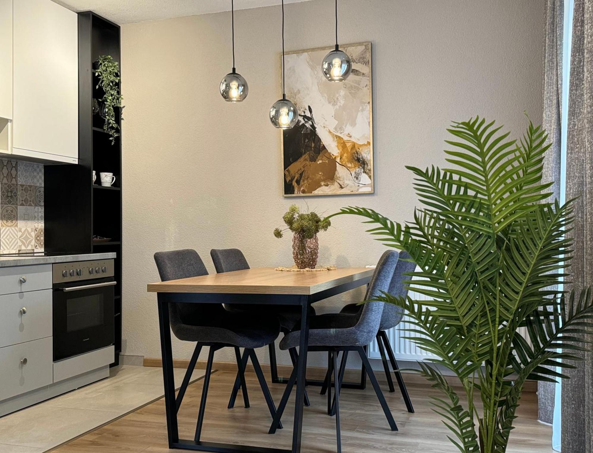 Old School Apartments バニャ・ルカ 部屋 写真
